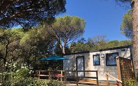 Camping de Parpaillon